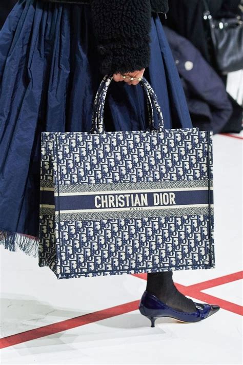 dior fall 2019 bags|christian Dior dresses fall.